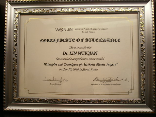 韓國綜合性整形美容研究