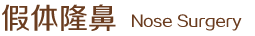假體隆鼻
